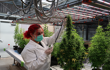 student in lab
